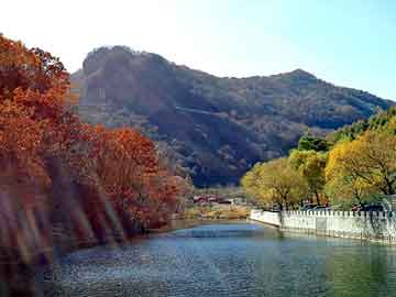 女子篮球联赛关键比赛决定季后赛名额